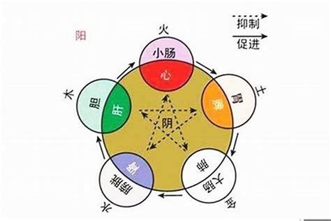 张 五行|张字五行属什么 张在五行中属什么